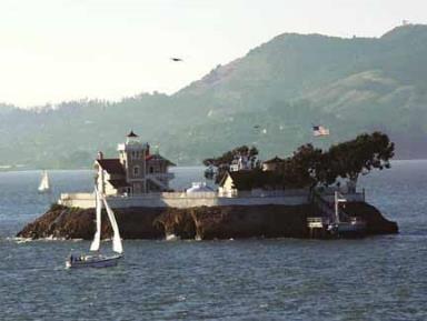 Yacht Harbor